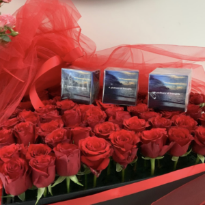 Plethora of Thoughts